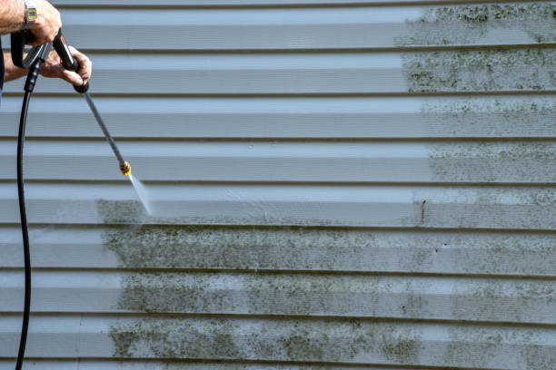 Best Steel Siding Installation  in Bangor, MI